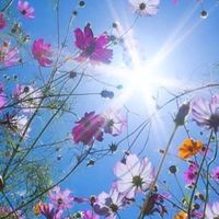 心の病、前向きになるために話し合おう。