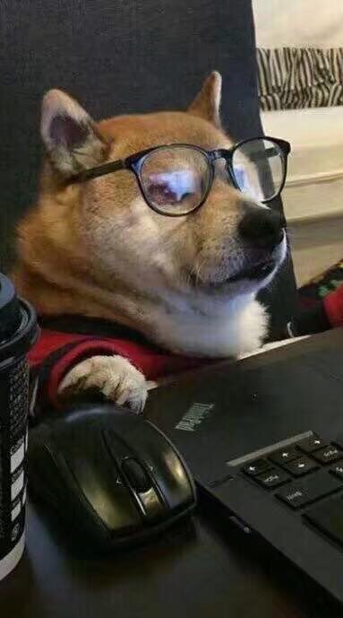 Thai-Inter Programer