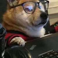 Thai-Inter Programer