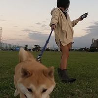 伊達 IDA 揪團｜低調玩😋