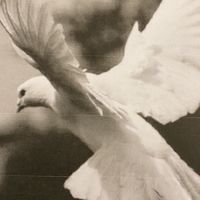 白鳩劇場