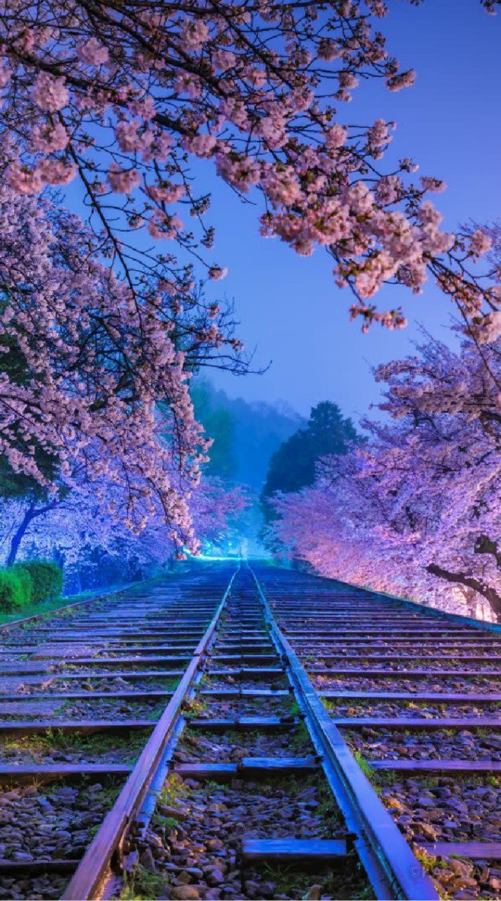 陪你聊天❤