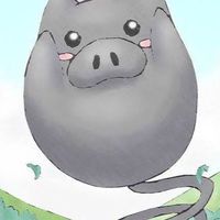 ポケポケトーナメント