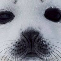 高卒認定試験後