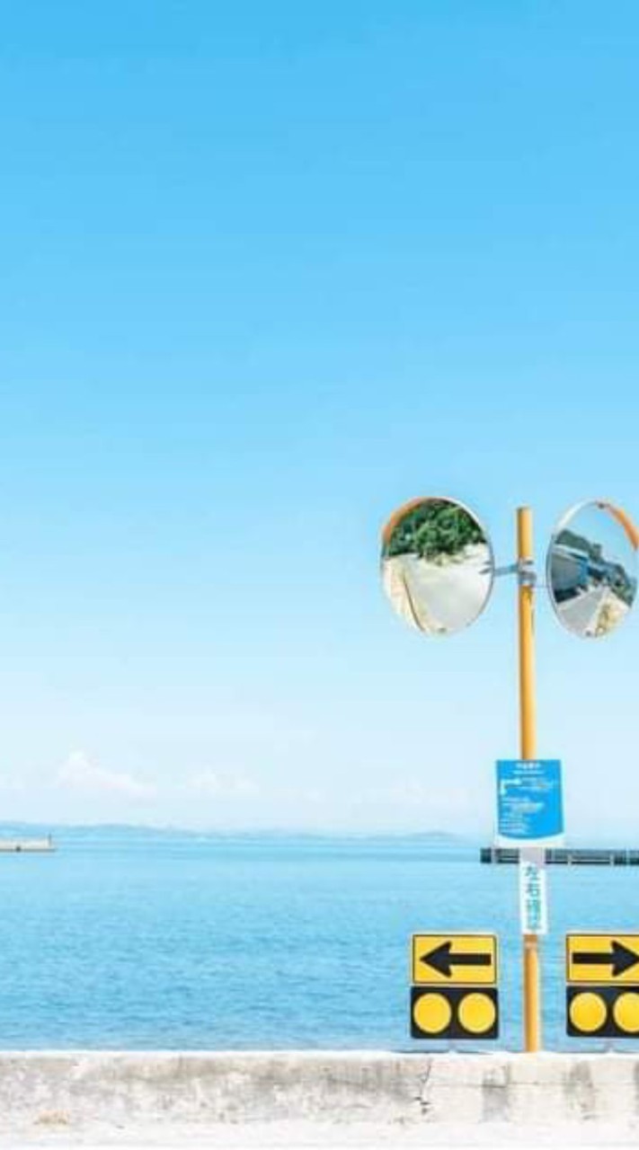 呆小魚