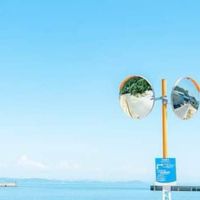 呆小魚