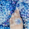 🌹50代60代🍀大人の小さな幸せあるかも🎼🐈‍⬛