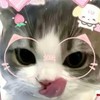 【送圖小社區～】