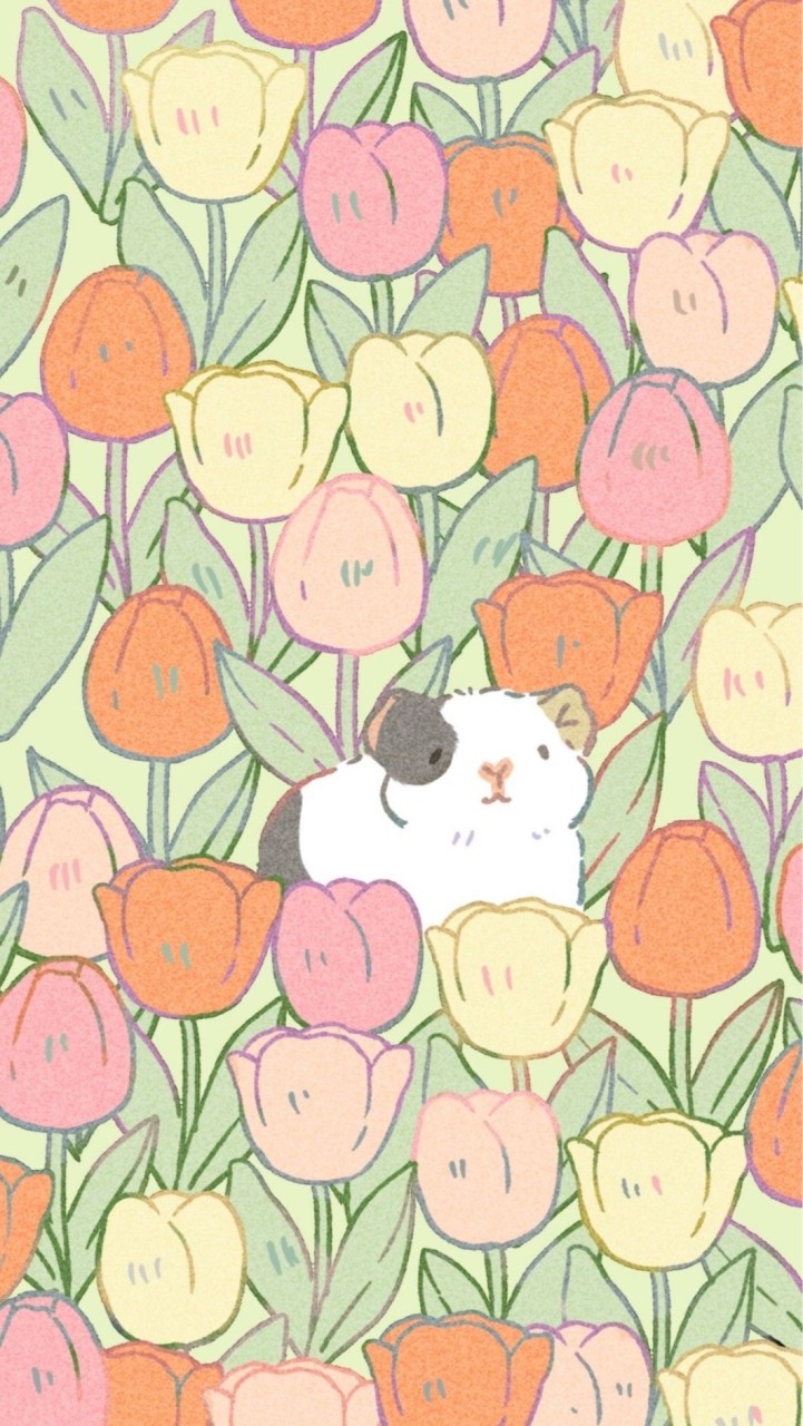 เหล่าคุณมิ๊แกสบี้🐹🫧
