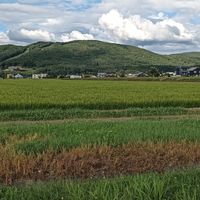 道内で昆虫採取する人の部屋