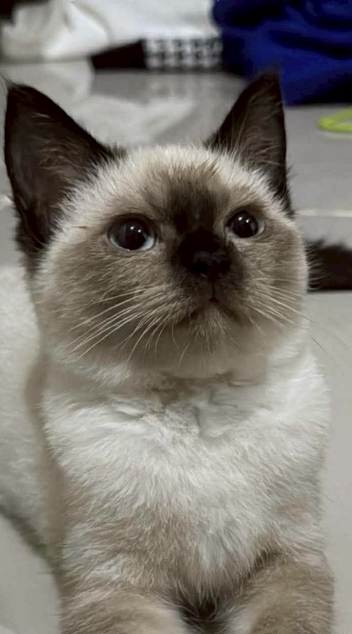 หาเพื่อนคุย