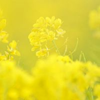 🌱OPEN🌱50代〜ゆるっとシングル雑談部屋