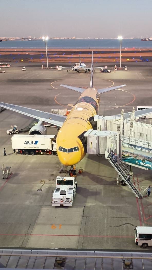 飛行機好きcome here!