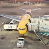 Airplane lover is here ‼︎✈️ (飛行機好きなら入ろうよ‼︎)