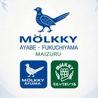 🇫🇮JMA公認 綾部・福知山・舞鶴　モルック練習会・大会