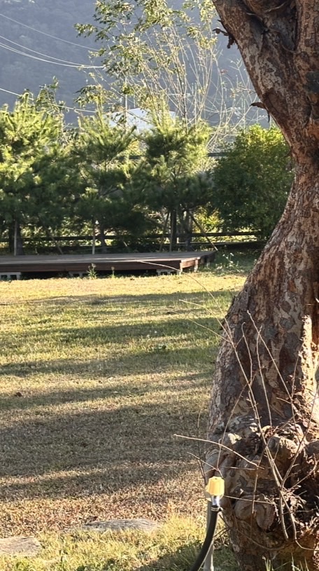 Ananda Margii靈修精進群