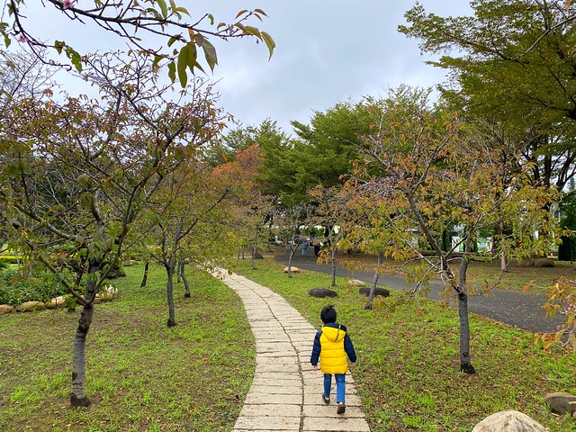 后里崴立機電櫻花公園