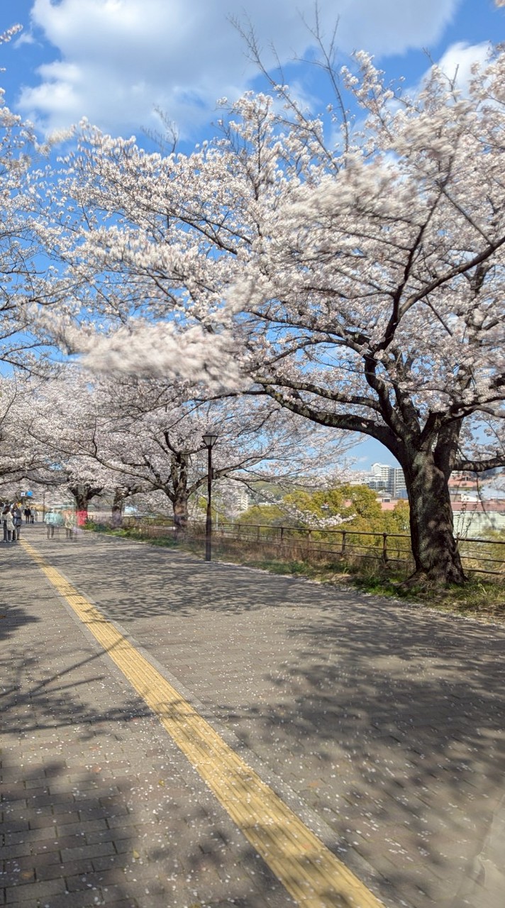 【新歓】東京都立大学