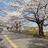 【新歓】東京都立大学