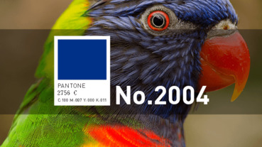 免費素材資源與線上工具整理，2020年4月號