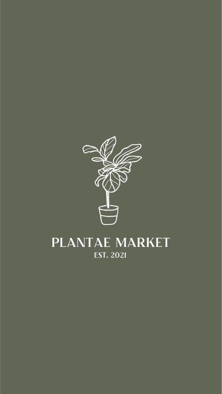 🪴 PLANTAE MARKET 植物市場 直購交流社 🪴