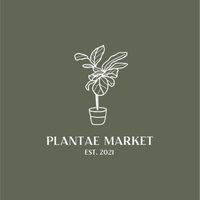 🪴 PLANTAE MARKET 植物市場 直購交流社 🪴