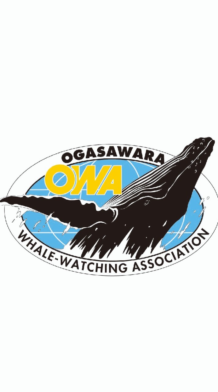 OWA理事