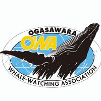 OWA理事