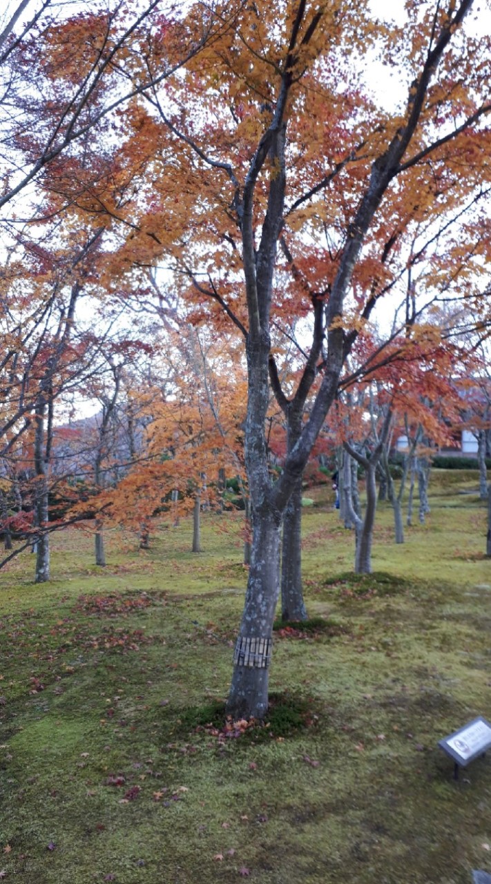 箱根町オープンチャット