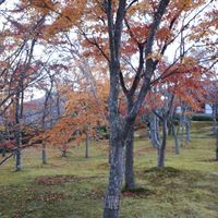 箱根町オープンチャット