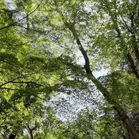 産前産後ケアRoomはぐくみ