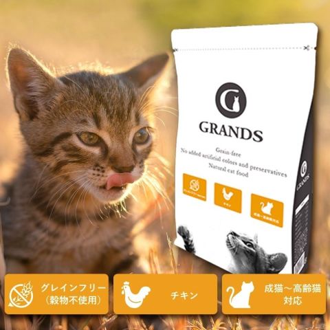 GRANDS_CATS | LINE Official Account
