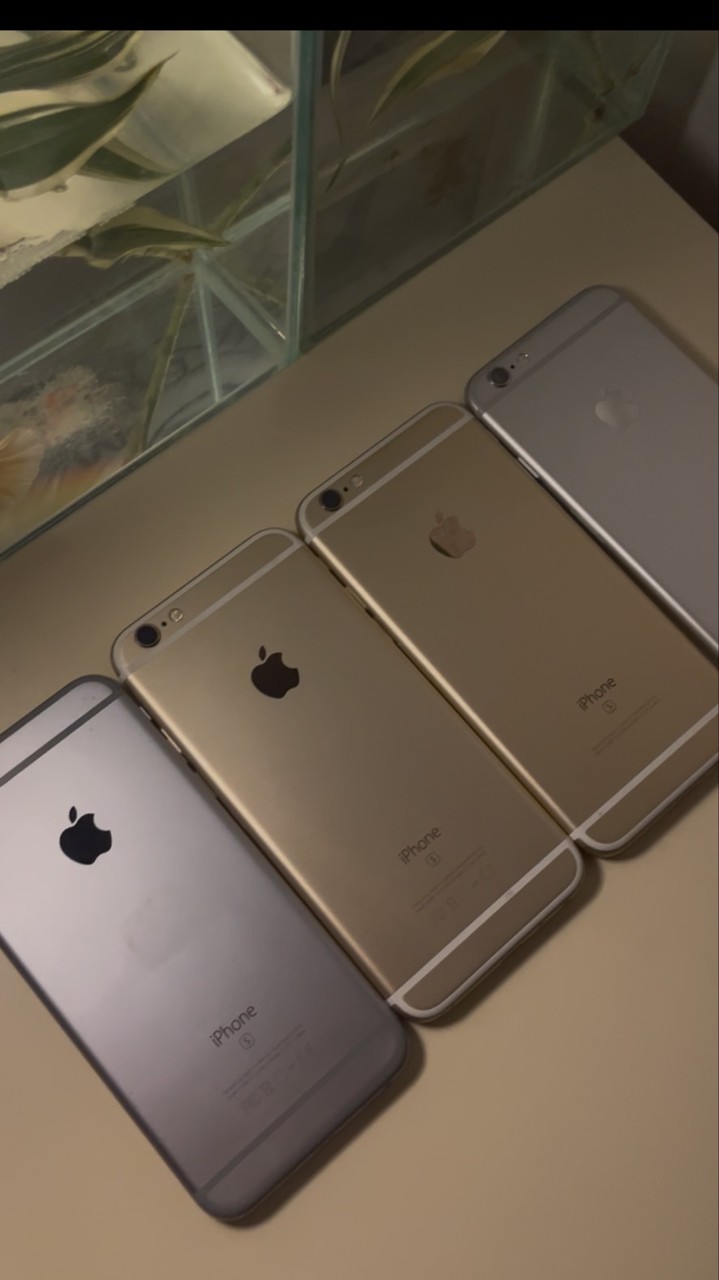 Cheekwa.a phone