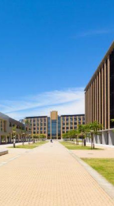 University [Thailand]