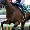 🏇💐展開予想競馬@競馬O L夢先生 (仮)