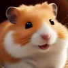 Hamster'BKK