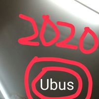Ubus lndia