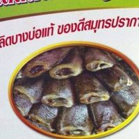 แสนสมบูรณ์ปลาสลิดบางบ่อ