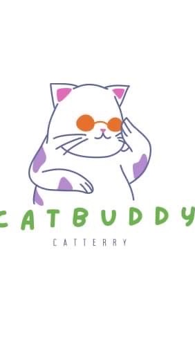 Catbuddy