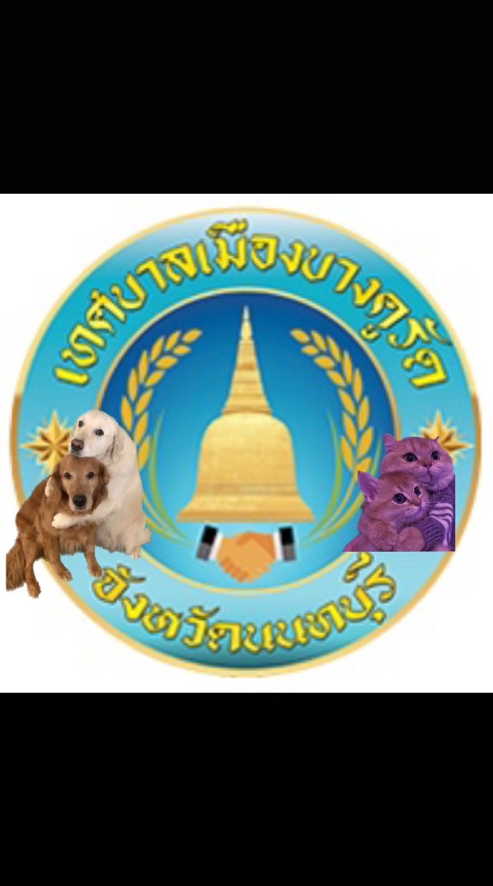 โครงการฉีดวัคซีนสุนัข-แมว เทศบาลเมืองบางคูรัด จ.นนทบุรี