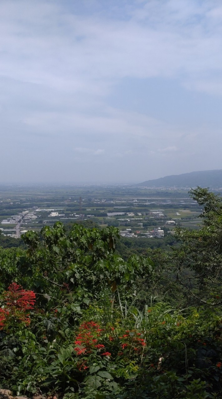 探尋野外、森林步道(中部)
