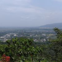 探尋野外、森林步道(中部)