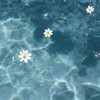 ⟡ ࣪   「 晴れたお別れの日に  」  全緩ハント  ⟡ ࣪