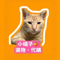 小橘子🍊選物·代購