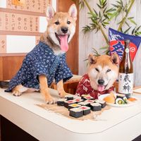 焦糖和黑糖還有紅糖