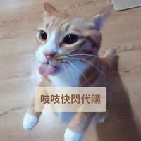 吱吱快閃代購🌟