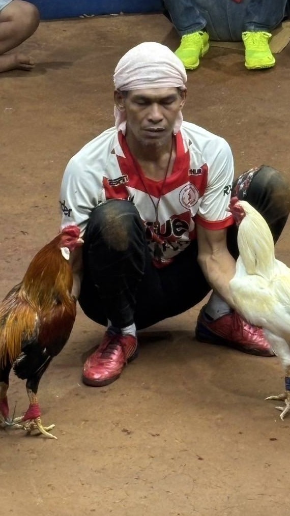 ไก่เดือยใต้ @777up