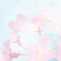 マイクラが好きな人の集まり！！