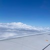全員副官にするよ　ライトもしたい