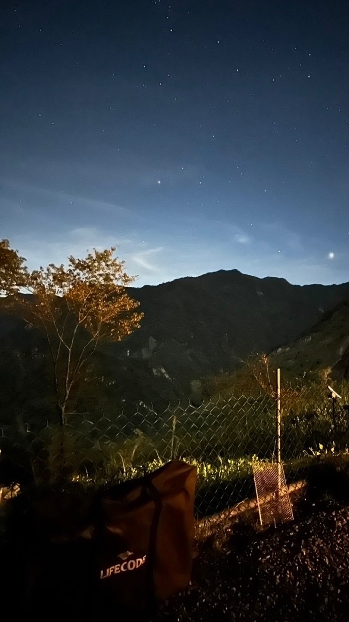 茶茶傳說專區